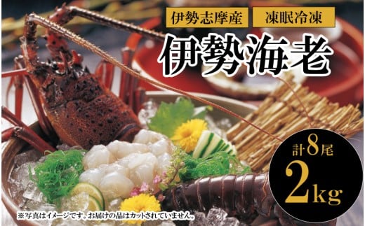 90-14凍眠冷凍伊勢海老 2kg（計8尾）