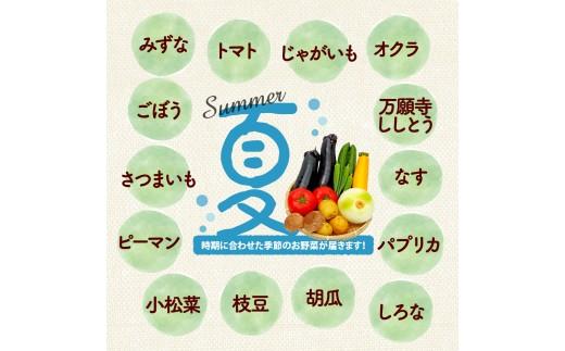  【厳選】 野菜セット 3回 詰め合わせ 一人暮らし 新鮮 こだわり エコ農産物 ほぼ 無農薬 朝採れ 季節野菜 詰め合わせ 健康 ヘルシー 食卓 サラダ フレッシュ 煮物 スープ 安心 安全 国産 