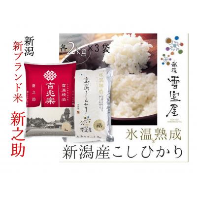 ふるさと納税 阿賀野市 【令和7年産】阿賀野市産「新之助&amp;雪室米」ぜいたく食べ比べ(各6kg)
