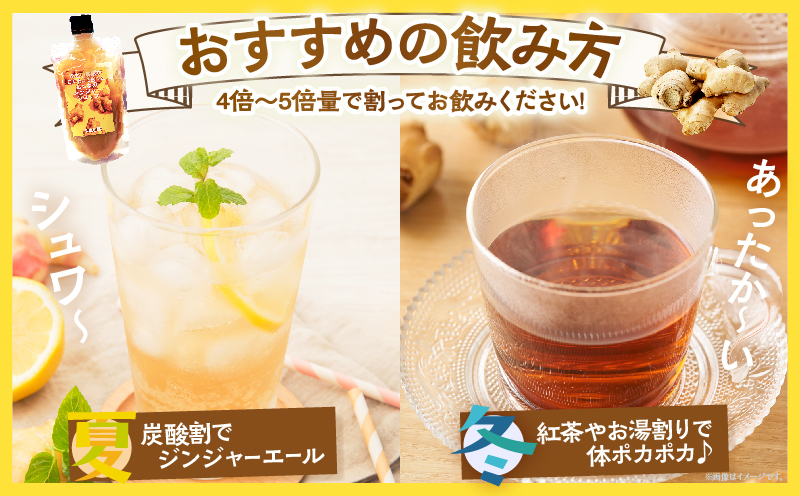 ＼ポスト投函／都農町産ジンジャーシロップ(計1本)_T024-013【生姜 加工品 国産 人気 ギフト 食品 ジャム デザート 贈り物 お土産 送料無料 プレゼント】