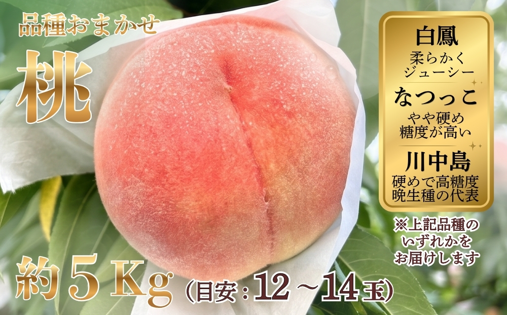 桃（品種おまかせ：白鳳、なつっこ、川中島　のいずれか）約5kg（目安：12～14玉） ※2026年7月～発送