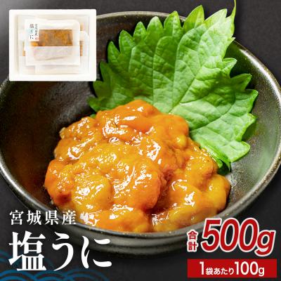 ふるさと納税 石巻市 宮城県産 塩うに 500g( 100g × 5袋 ) ウニ うに 雲丹 濃厚 ムラサキウニ ウニ丼