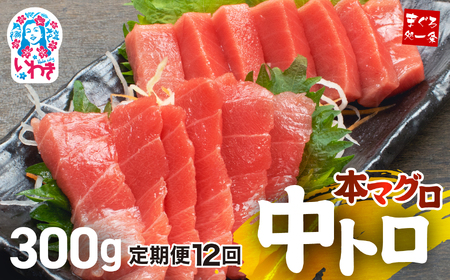 【定期便/計12回】本マグロ中トロ300g（計3.6kg）【DG005-t12】