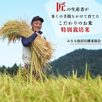 ふるさと納税 南魚沼市 【毎月定期便】特別栽培米南魚沼産こしひかり「雪穂」 玄米 10kg(5kg×2袋) 全12回 |  | 01