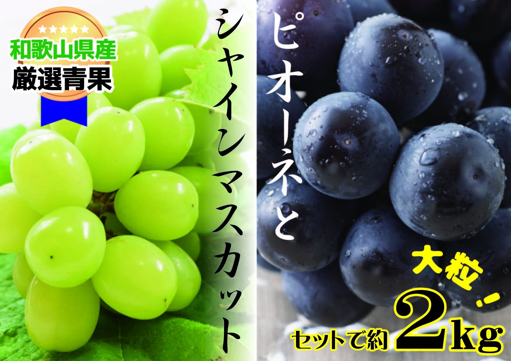 
            大人気 ぶどう セット 約2kg入 シャイン＆ピオーネ 【8月上旬～下旬発送】
          
