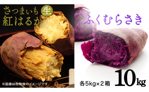 さつまいも 【 紅はるか ・ ふくむらさき 】 5kg ( 箱込 )の 2箱セット	さつまいも 詰合せ 国産 農園 野菜 サツマイモ 芋 期間限定 デザート スイーツ おやつ 料理 味噌汁 煮物 生芋