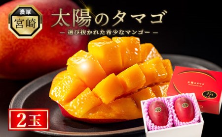 【先行予約/数量限定】完熟マンゴー『太陽のタマゴ』２玉（約１kg）/ 宮崎県産 マンゴー 糖度 果物 贈答用 ギフト お中元 太陽のたまご マンゴー 