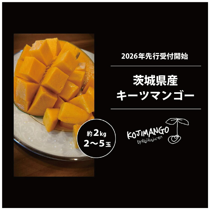 【ふるさと納税】【 先行予約 2026年9月中旬順次発送】 完熟マンゴー 約2kg ( 2～5玉 ) キーツ マンゴー 茨城県 八千代町
