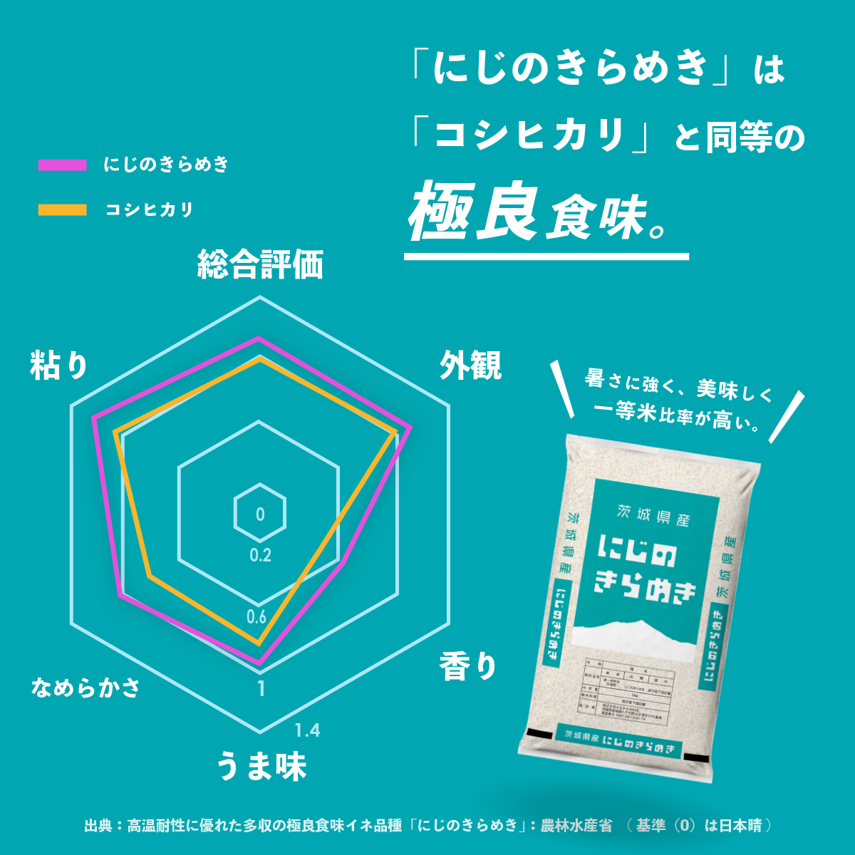 【スピード発送】食べ比べ 10kg  (5kgx2袋) 令和7年産 茨城県産 コシヒカリ にじのきらめき 白米 精米 茨城県 八千代町 お米 米 [SF585yai]
