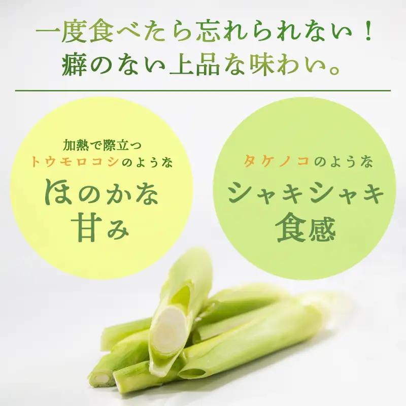 マコモダケ 500g | 栽培期間中農薬不使用