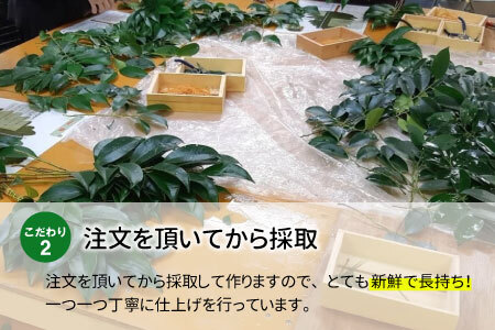 【定期便・全3回】 神棚用 国産榊 さかき 2束 3ヶ月連続でお届け 飾り榊 11000円