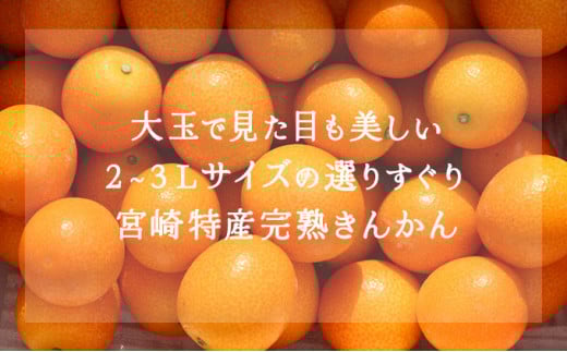 KU445 ＜先行予約＞【プレミアム】選りすぐりの大玉完熟きんかん１kg【玉様ファーム】