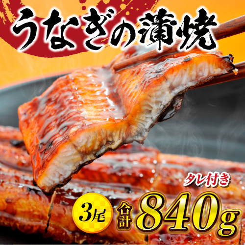 うなぎの蒲焼３尾 タレ付き（2本）　YZ002