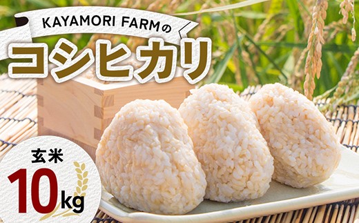 
                  【R8年産米】KAYAMORI FARMのコシヒカリ 玄米 10kg F6U-471
                