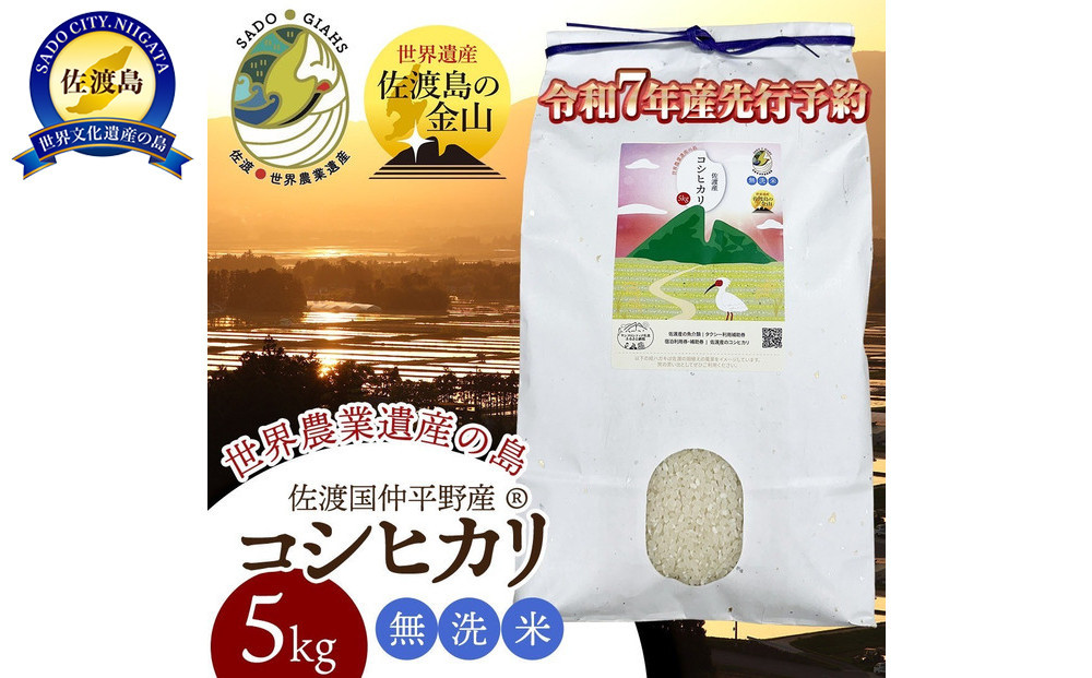 【先行予約】【新潟県佐渡】国仲平野産コシヒカリ＜数量限定・生産地域限定＞ 令和７年産 精米【無洗米】5kg 送料無料