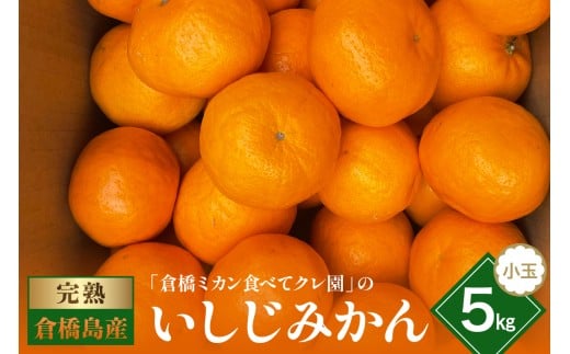 【2025年12月初旬～発送】倉橋ミカン食べてクレ園 いしじみかん 小玉 約5kg ku154-002-25