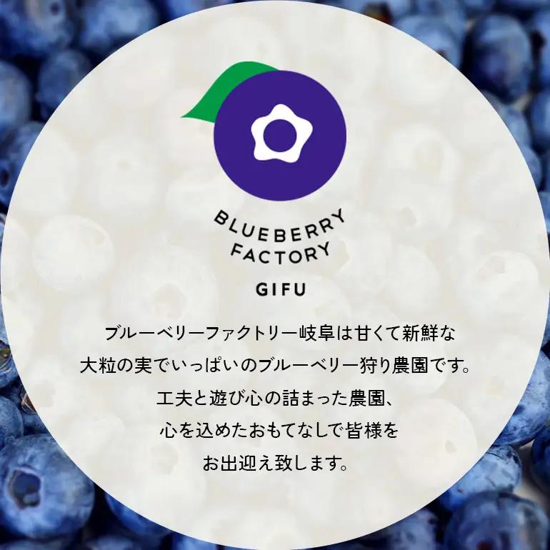生ブルーベリー 600g（100g×6P） A16-021