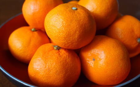 【濃厚・まろやか】有田産樹上越冬完熟みかん5kg（2S～Mサイズ混合・秀品）★2025年1月下旬頃より順次発送