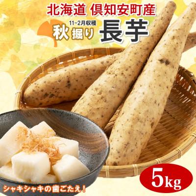 ふるさと納税 倶知安町 2026年発送 北海道倶知安町産 長芋 計5kg 秋堀り とろろ芋 グリーンアースファーム 北海道