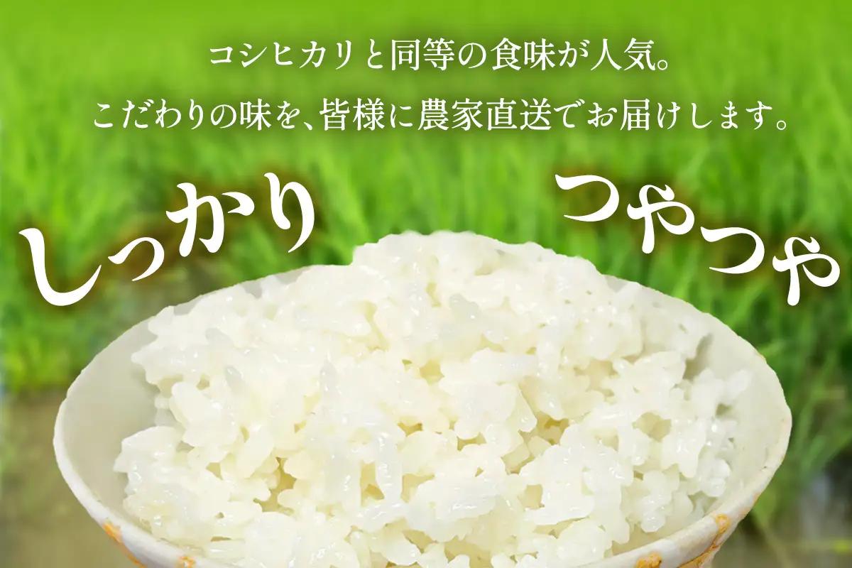 新米 [定期便／6ヶ月連続][令和8年産／11月上旬より順次発送] 伊勢原産 精米10kg (5kg×2袋) にじのきらめき 農家直送！加藤さんちのうんめぇ！自家製米 [1148]