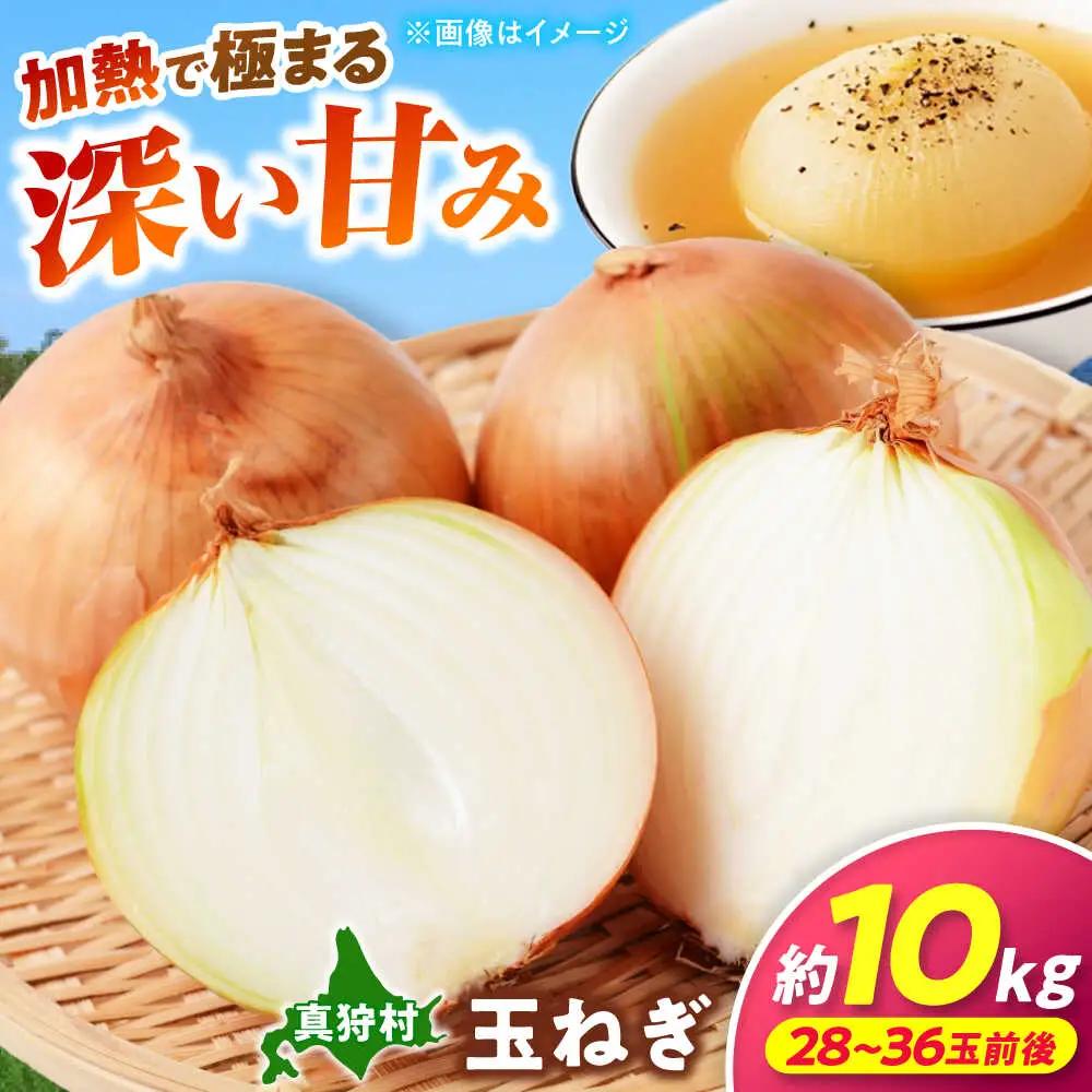 【2026年10月上旬以降順次発送】 玉ねぎ 10kg | 野菜 玉ネギ たまねぎ やさい 北海道 産地直送 | 道の駅 真狩フラワーセンター[BPAM080]