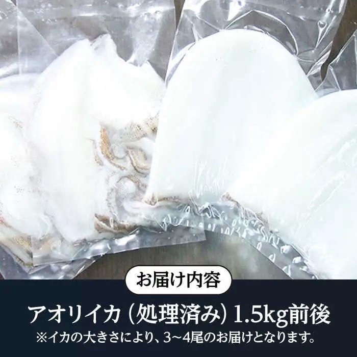 アオリイカ（水イカ）1,500g前後 [JCG019] イカ 刺身