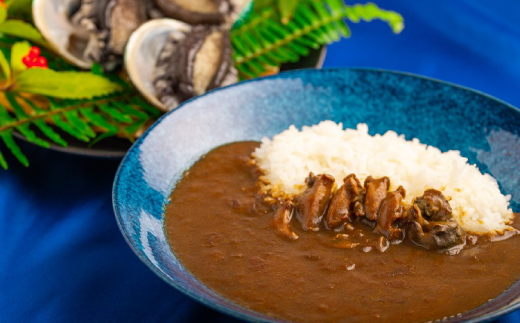 
和歌山のアワビ屋さんがつくったあわびカレー 【170g×3袋】＜日付指定OK＞ / カレー 鮑 あわび 老舗監修
