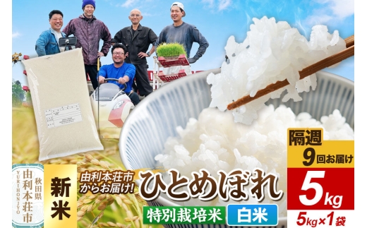＜令和8年産 新米＞《2週間毎お届け》【定期便9回】【白米】ひとめぼれ 5kg（5kg×1袋）特別栽培米 秋田県産 [ひとめぼれ 新米 米 お米 白米 精米 特別栽培米 ブランド米 食卓 おにぎり 秋田県産 秋田]