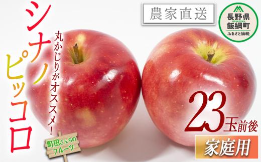りんご シナノピッコロ 家庭用 約23玉 前後 沖縄県への配送不可 2026年9月下旬頃から2026年10月下旬頃まで順次発送予定 町田さんちのりんご 長野県 飯綱町 [0417]