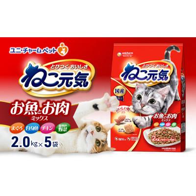 ふるさと納税 伊丹市 ねこ元気 お魚とお肉ミックス まぐろ白身魚チキン緑黄色野菜入 2.0kg×5袋[54030473]