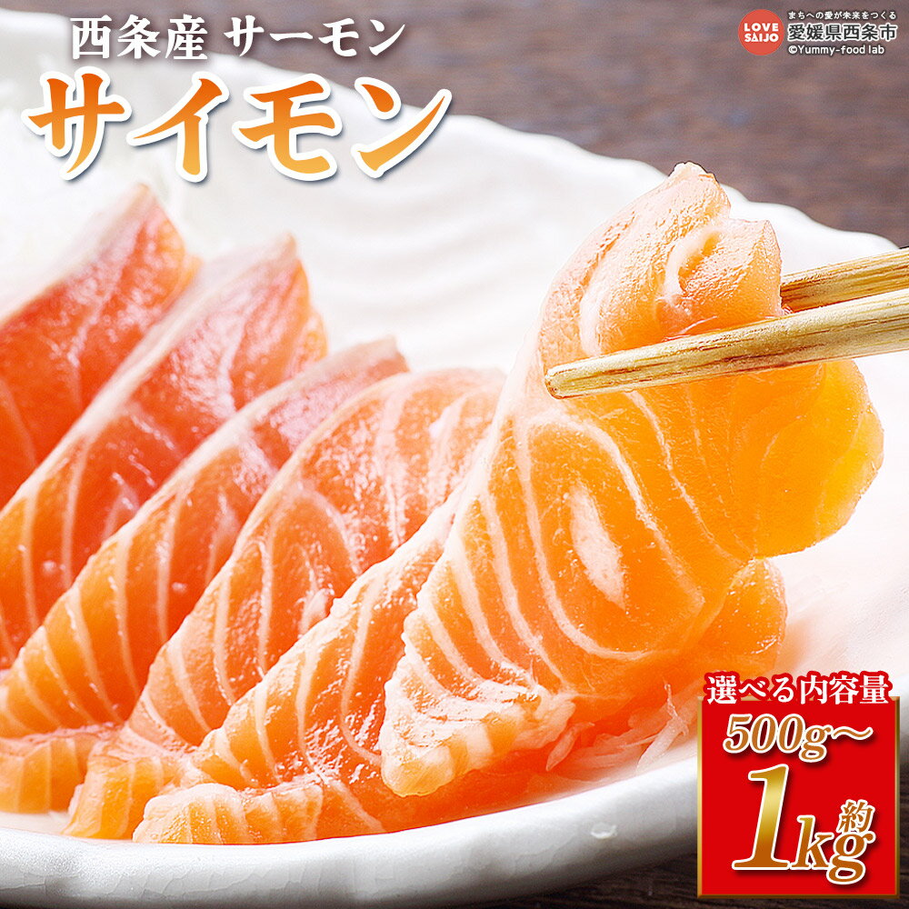 【ふるさと納税】＜西条産サーモン「サイモン」約500g～1kg＞ ※2026年1月～4月までに順次出荷 選べる 内容量 3袋セット 6袋セット 魚 海鮮 刺身 鮭 サケ シャケ さけ フィレ 魚介類 魚介 真空 小分けパック 陸上養殖 国産 愛媛県 西条市【冷凍】