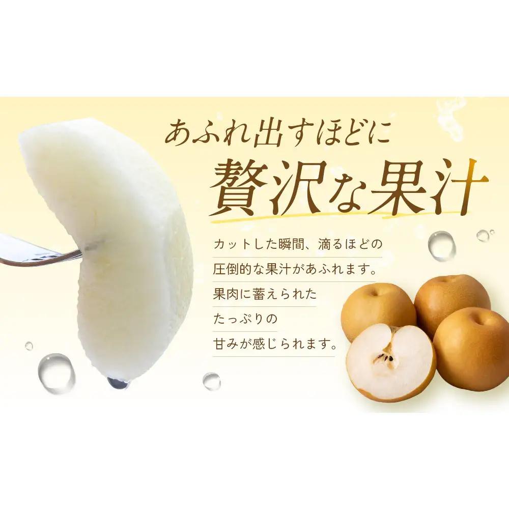 【先行予約】訳あり 数量限定 鳥取県産 王秋梨（おうしゅうなし） 約5kg （7～15玉）≪2026年11月中旬頃出荷≫ 【鳥取県 境港市】
