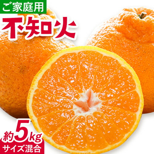 【ふるさと納税】みかん 不知火 ご家庭用 5kg サイズ混合 GOGO農園《2026年1月下旬-3月中旬頃出荷》 和歌山県 日高川町 しらぬい みかん 柑橘 蜜柑 フルーツ 送料無料