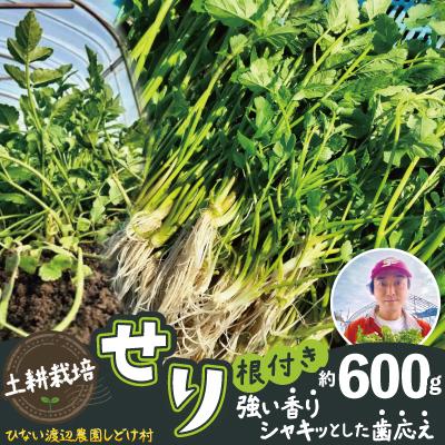 ふるさと納税 大館市 セリ 強い香りとシャキッとした歯応え 約600g