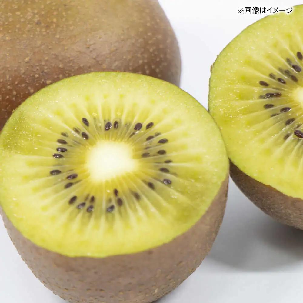 福岡限定品種キウイ「甘うぃ」約1.3kg-約1.5kg／2026年11月頃より発送予定 桂川町/一般社団法人地域商社ふるさぽ[ADCF013]