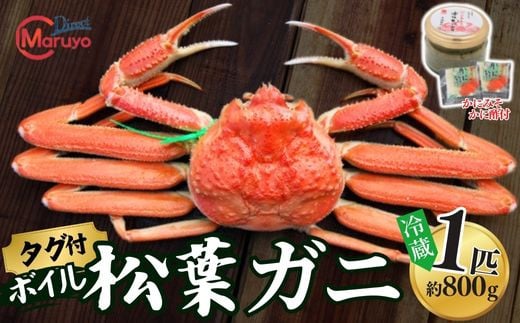 【先行予約】【ボイル松葉がに 1匹（約800g）かにの身入りかにみそ 三杯酢付 冷蔵】令和7年11月中旬以降順次配送予定 配送前に事前連絡いたします 香住・山陰沖で水揚げされた新鮮な松葉がにを熟練の職人が茹で上げ カニの本場 香住 新鮮 国産 鍋 かにすき 脚 足 爪 身 肩 大人気 ふるさと納税 兵庫県 香美町 香住 柴山 ズワイガニ 100000円 マルヨ食品 マルヨダイレクト 17-30