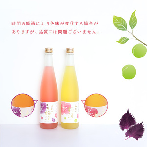 《 梅酒飲み比べ 》 山形の梅酒と山形のしそ梅酒 （500ml×2本）寒河江市産白加賀梅を使用　010-E-FR022｜梅酒飲み比べ梅酒飲み比べ梅酒飲み比べ梅酒飲み比べ梅酒飲み比べ梅酒飲み比べ梅酒飲み
