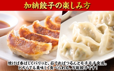【加納の王道】冷凍生餃子（27個入り×3P）生餃子 冷凍餃子 ギョーザ おかず 総菜 おつまみ つまみ ごはんのお供 中華 お取り寄せ 焼き餃子 冷凍 藤沢市 神奈川