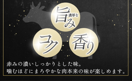 見蘭牛入りテールスープ（5人前）