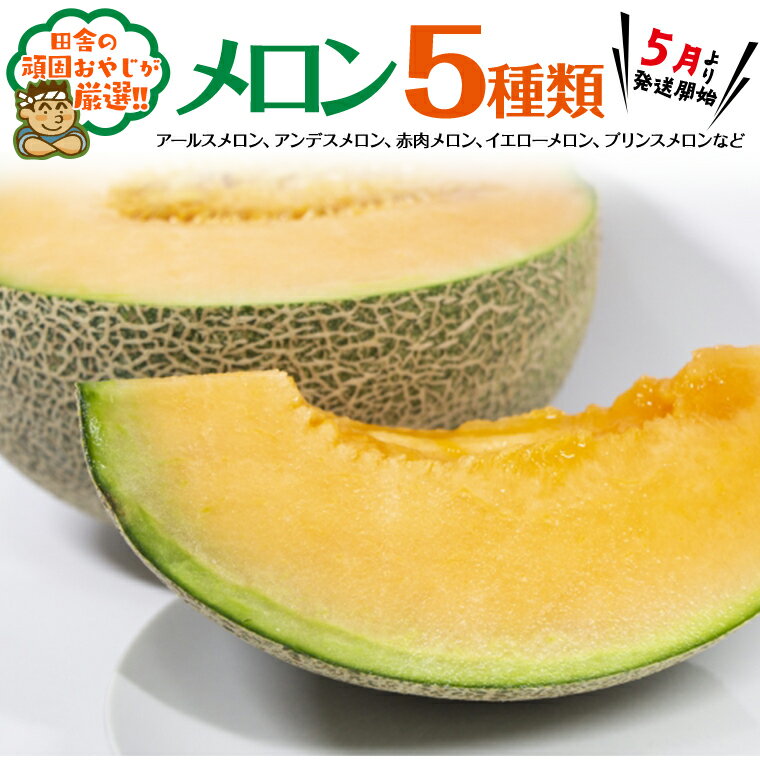 【ふるさと納税】メロン 5種 だっぺセット【5月から順次お届け】田舎の頑固おやじが厳選！