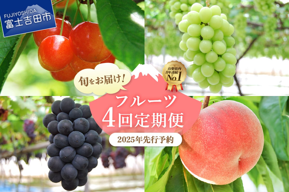 
            【数量限定】4回お届けフルーツ定期便 フルーツ シャインマスカット もも さくらんぼ 黒ぶどう 定期便 数量限定 山梨 富士吉田
          