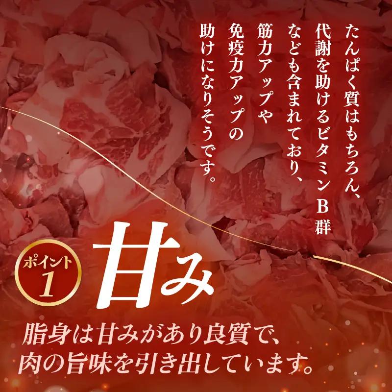 【ブランド豚】ふくいポーク 切り落とし 3kg 国産豚肉 冷凍  [e02-b016]