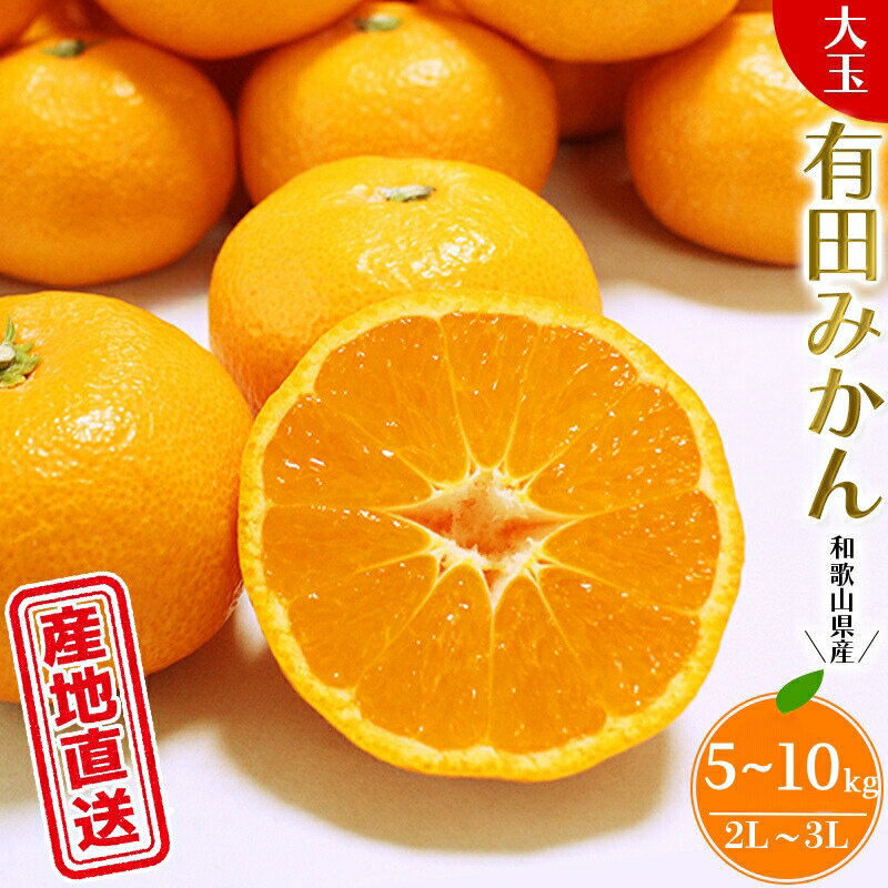 【ふるさと納税】 有田 みかん 大玉 （2L〜3L） 5kg 10kg ＼ みかんの名産地 和歌山県産／ 農家直送 ひとつひとつ手選別で厳選 【11月下旬頃～翌年1月中旬頃順次発送予定】 / 温州みかん 大きい くだもの 果物 果実 フルーツ