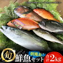 【ふるさと納税】【五島列島・直送】朝獲れ！鮮魚セット2kg 魚 鯛福丸水産/五島市 [PDP008]