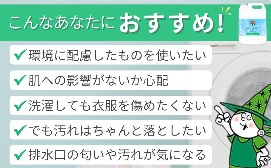 ＜3ヵ月毎定期便(全4回)＞環境配慮型洗剤緑の魔女ランドリー5L×1本 | 茨城県 龍ケ崎市 洗剤 液体 液体洗剤 環境配慮 エコ やさしい 洗濯 洗濯洗剤 衣類 汚れ よごれ 油汚れ 皮脂 皮脂汚れ