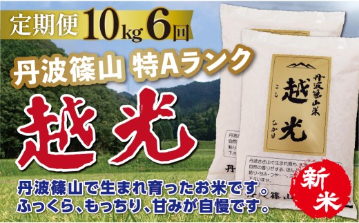 〈定期便 10kg (5kg×2袋) 6回 特Aコシヒカリ〉新米 令和8年産 丹波篠山産 特A コシヒカリ 越光 | 丹波篠山 お米 おこめ ブランド米 ごはん ご飯 白米 米 コメ こめ 精米 精白米 おいしい米 美味しいお米 兵庫県 お取り寄せ こしひかり コシヒカリ