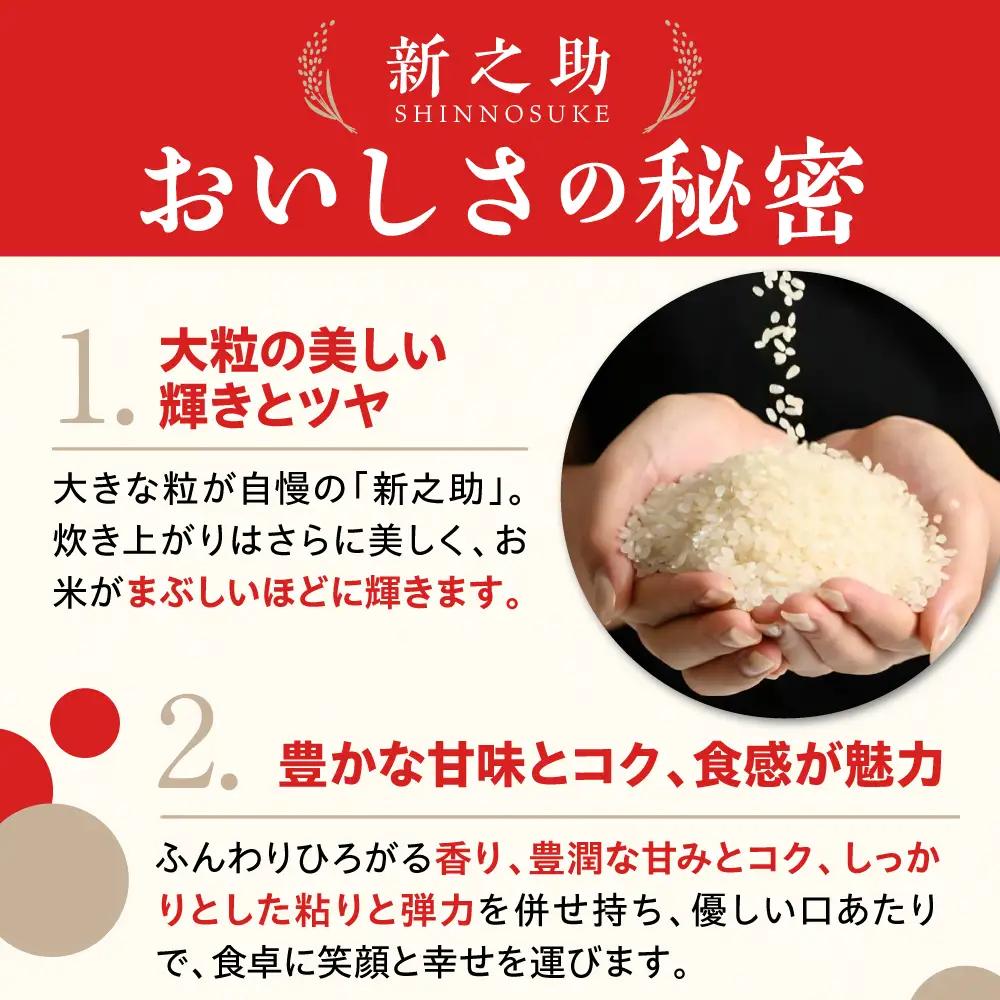 【2027年1月中旬発送】令和8年産 新潟県上越妙高産 新之助 10kg
