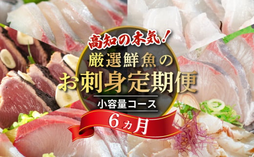 刺身 定期便 6ヶ月 小容量 コース 小島水産 がお届けする！ 美味しい お刺身 ( 鮮魚 下処理済 ) 産地直送 半年 新鮮 6回 （ ブリ かつおタタキ タイ カンパチ 鰤 鰹 真鯛 環八 魚 海鮮 鮮魚 刺身 タタキ ） おさかなのまち すさき 海鮮 鮮度 少人数 人気 高知県 須崎市 KS30000-b