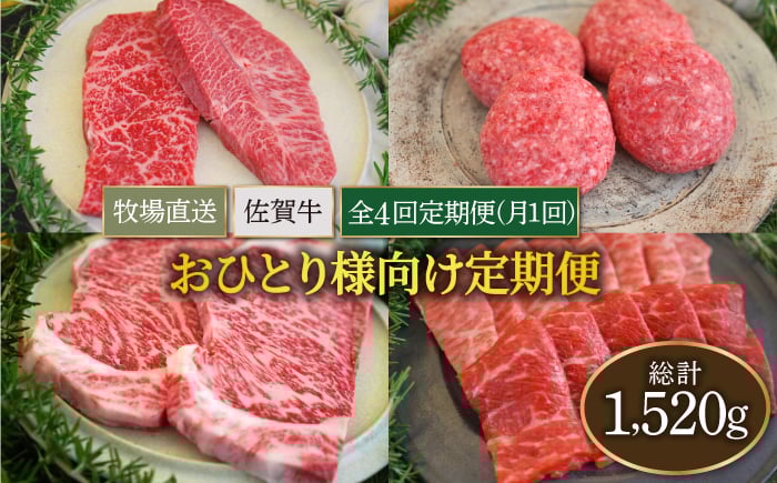 
            【牧場直送】【全4回】佐賀牛 お一人様向け 定期便【佐賀セントラル牧場】佐賀県産 牛肉 お肉 肉 ハンバーグ ステーキ 焼肉 国産 九州 佐賀県 白石町 [IAH174]
          