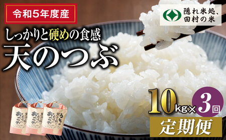 【令和5年産】定期便3回 田村産 天のつぶ10kg お米 福島県 田村市 田村 贈答 美味しい 米 kome コメご飯  特Aランク  一等米 単一米 精米 国産 おすすめ お中元 送料無料  緊急支援品 生活応援 コロナ支援 ふぁせるたむら